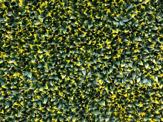 feuillage artificiel LUXUS aussi vrai que nature.