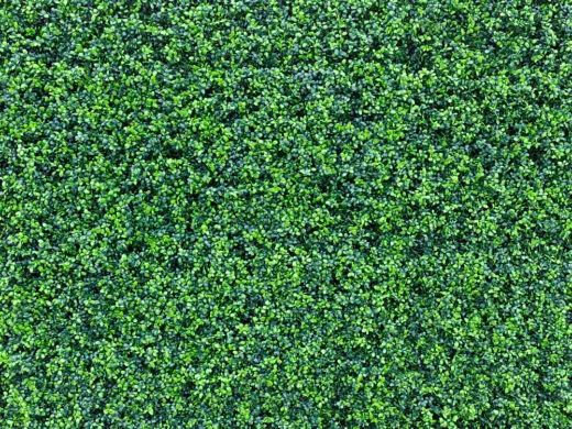 feuillage artificiel MYSTERY aussi vrai que nature.