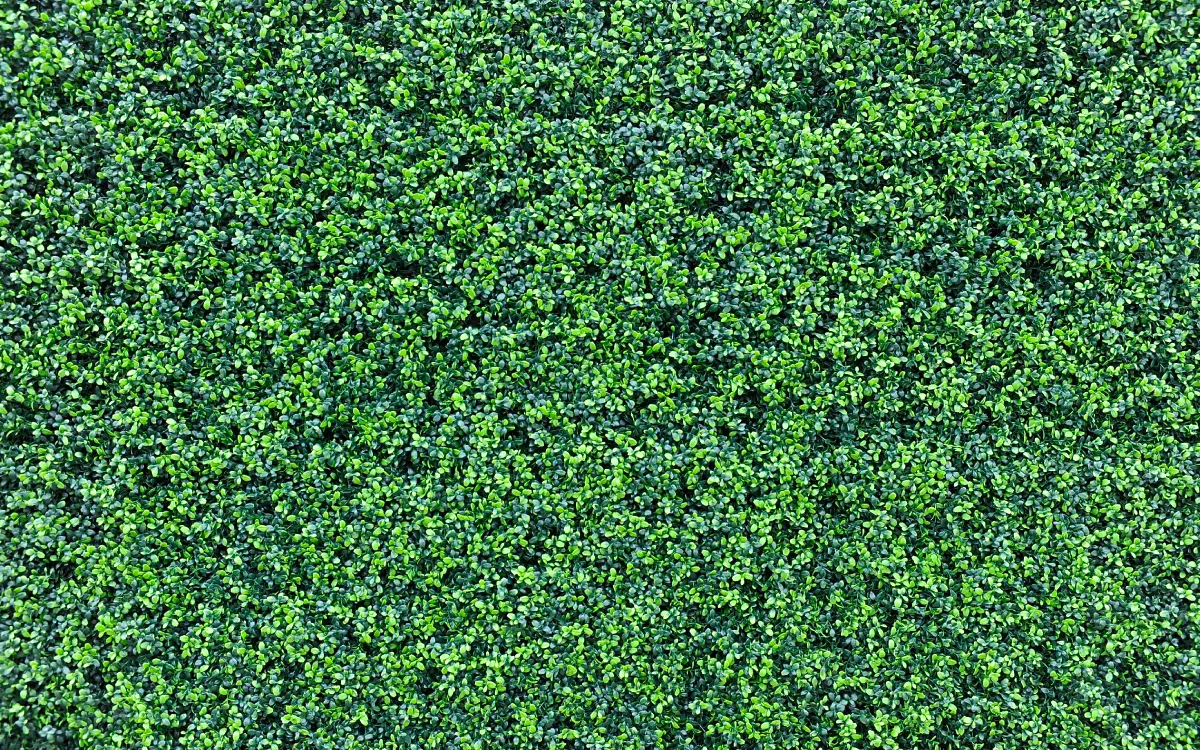 feuillage artificiel MYSTERY aussi vrai que nature. feuillage artificiel MYSTERY aussi vrai que nature.