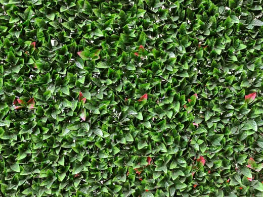 feuillage artificiel PHOTINIA aussi vrai que nature.