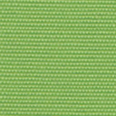 Jasmine Green