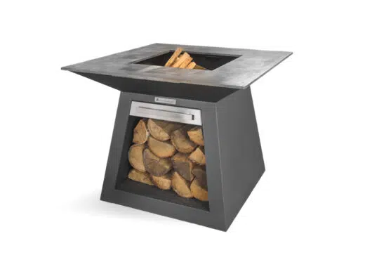Module de cuisson de la gamme professionnelle.